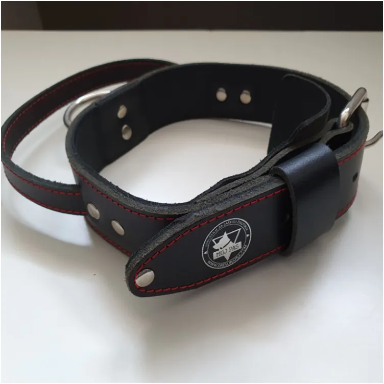 Ogrlica za naprednu obuku pasa