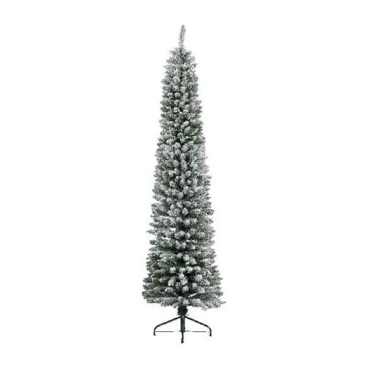 Pencil pine snowy
