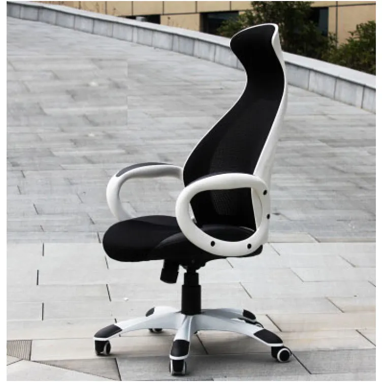 Radna Anatomska Stolica Direktor 19