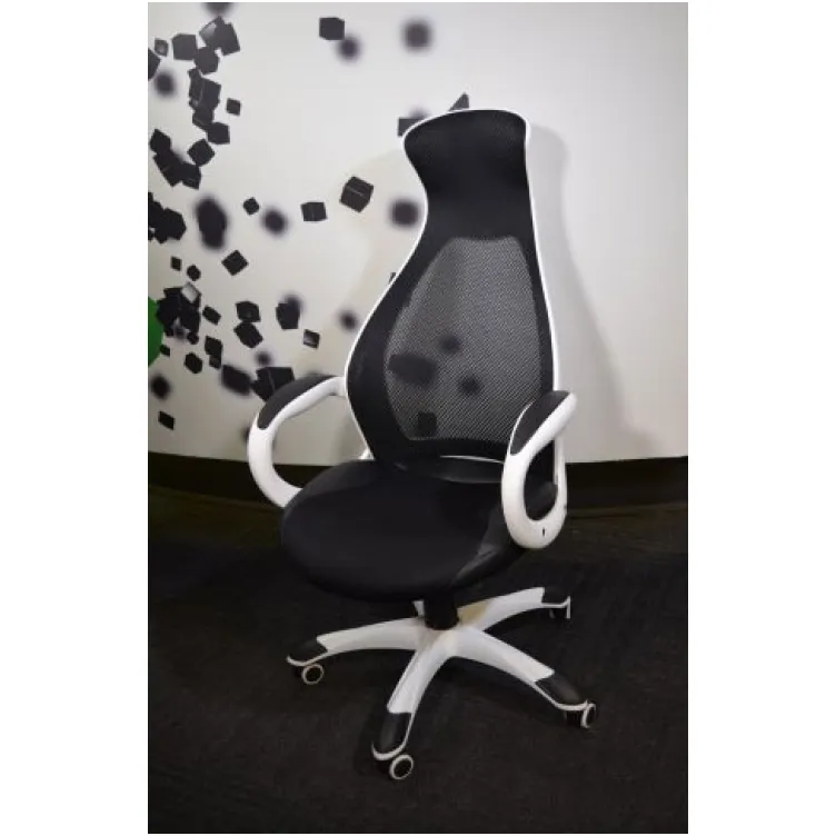 Radna Anatomska Stolica Direktor 19