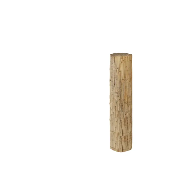 Trska rolna 1,5m x 5m /7,5m2