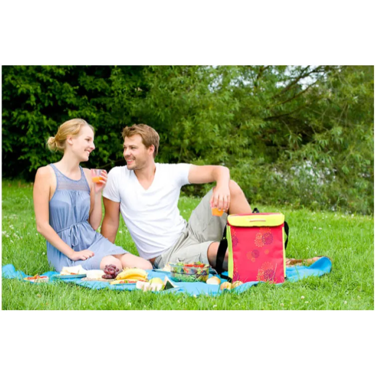 CAMPINGAZ Rashladna torba 19 L