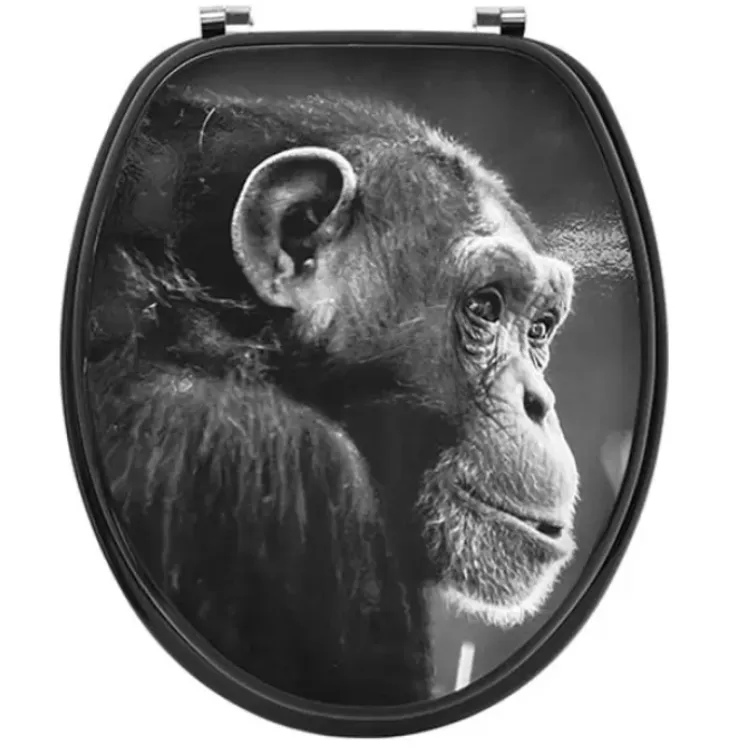 Wc daska sa metalnim okovima 