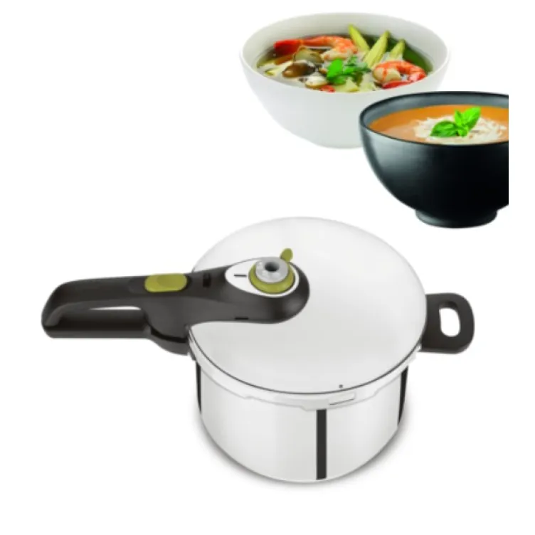 Ekspres lonac Tefel P2534441