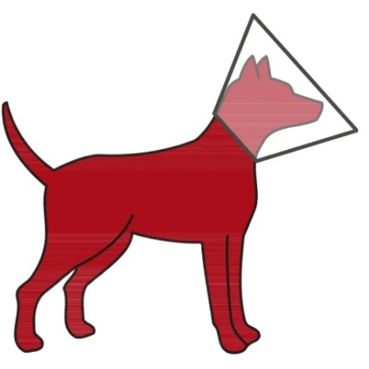 Zaštitna kragna za psa 28-33 / 12 cm