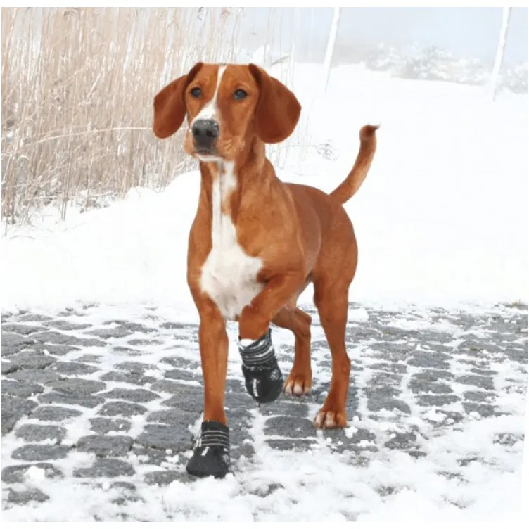 Zaštitne Čizmice Za Pse Walker Active M-L