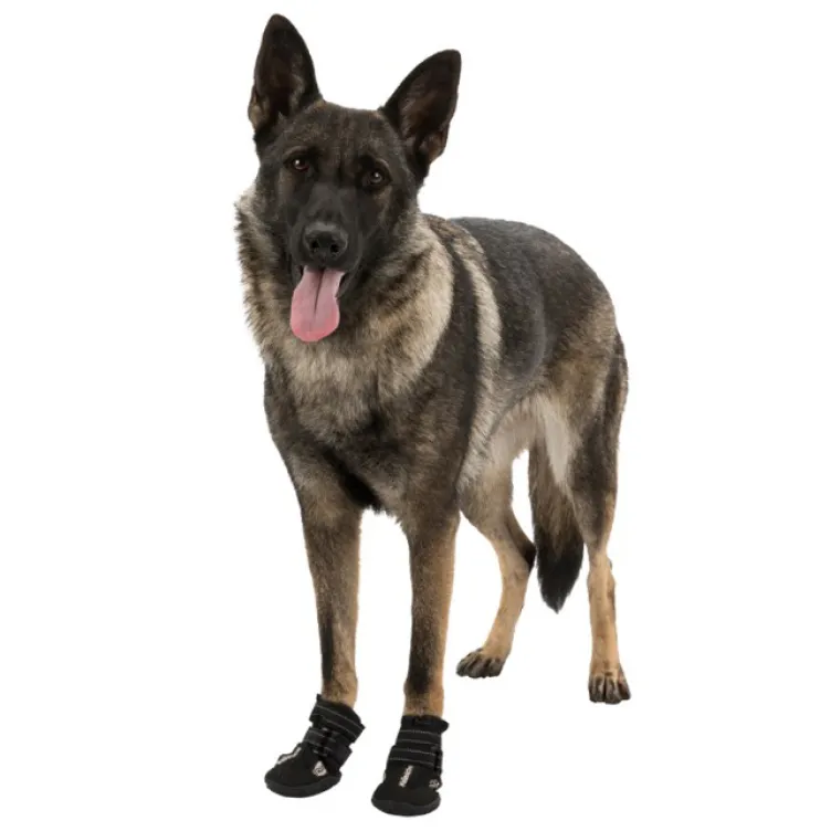 Zaštitne Čizmice Za Pse Walker Active XL