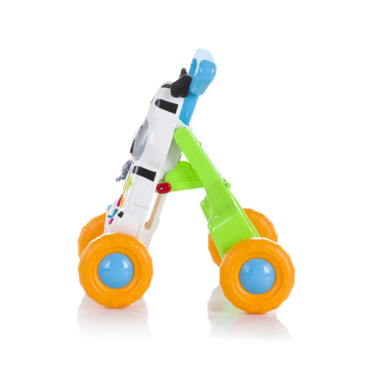 Hodalica muzička Zebra