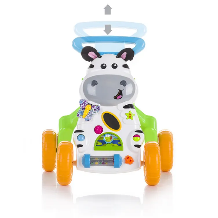 Hodalica muzička Zebra