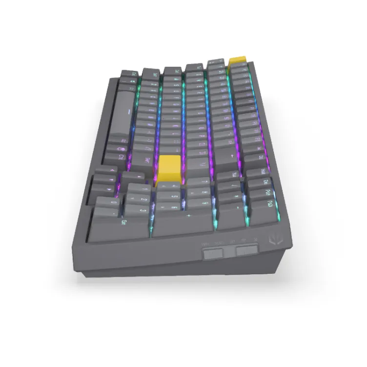 Celeris tastatura (EY5A124)