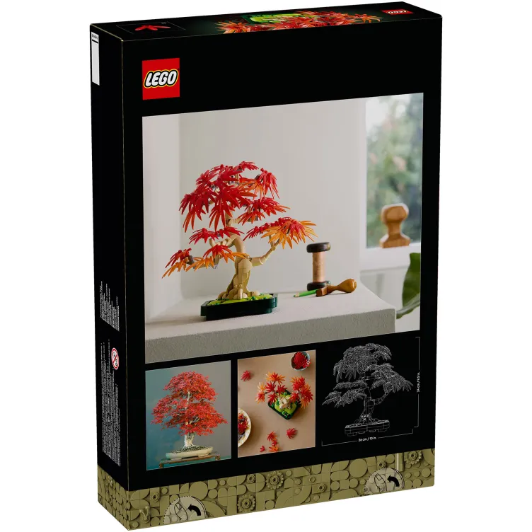 10348 Crvenolisni japanski bonsai javor
