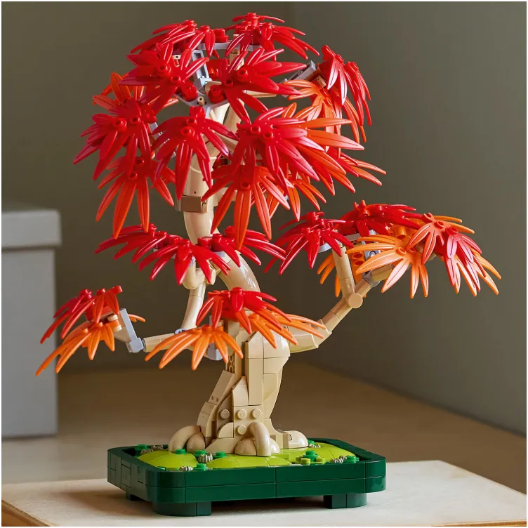 10348 Crvenolisni japanski bonsai javor