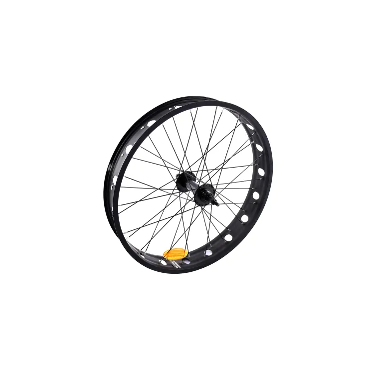 TOČAK - 24" ZADNJI FAT BIKE