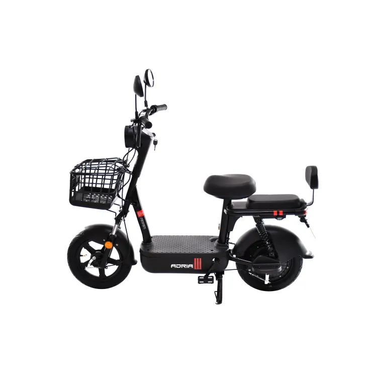 Električni bicikl RX20-48 crni (10.5)