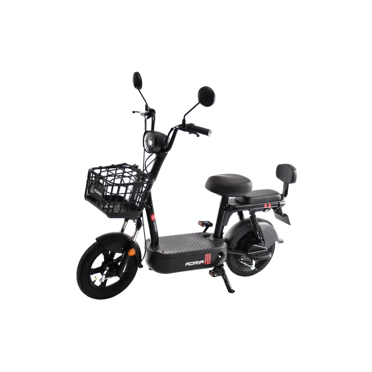 Električni bicikl RX20-48 crni (10.5)