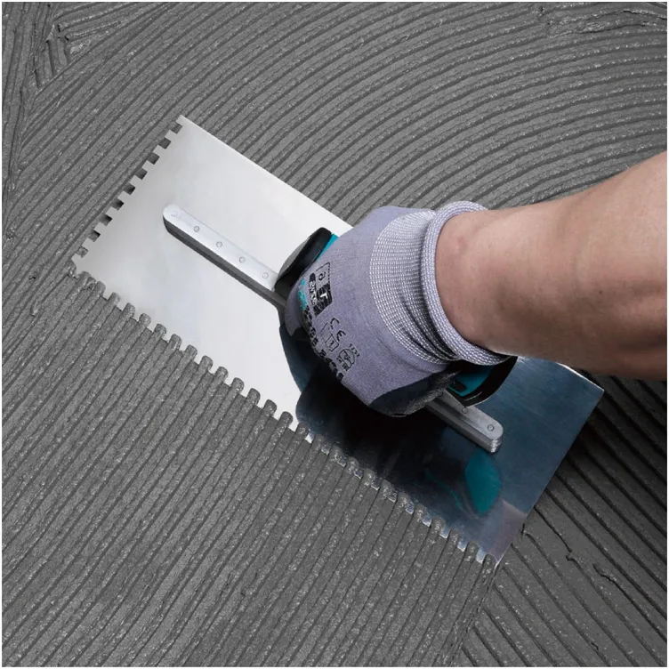 Gleterica nazubljena (13 zakovica) - BIHUI PTSL