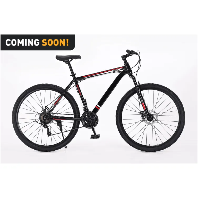 Xplorer MTB bicycle MATTERHORN Black 29"