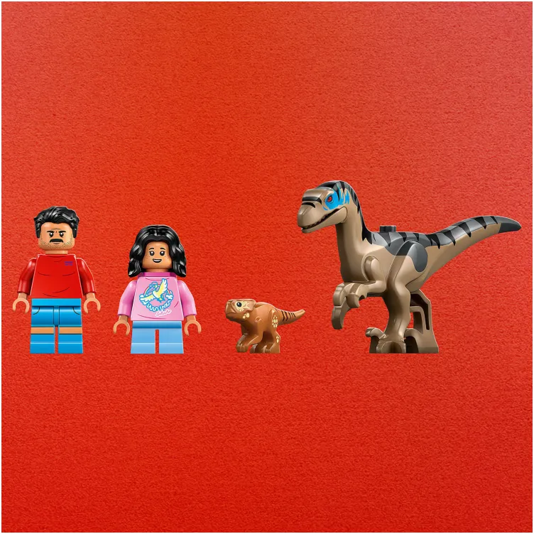 76972 Bekstvo terencem od raptora