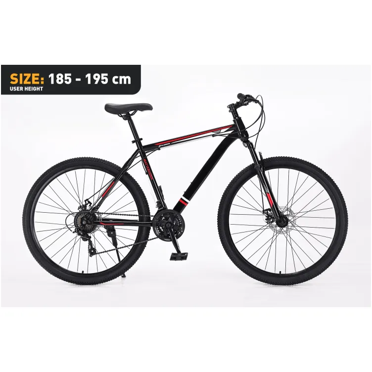 Xplorer MTB bicycle MATTERHORN Black 29"
