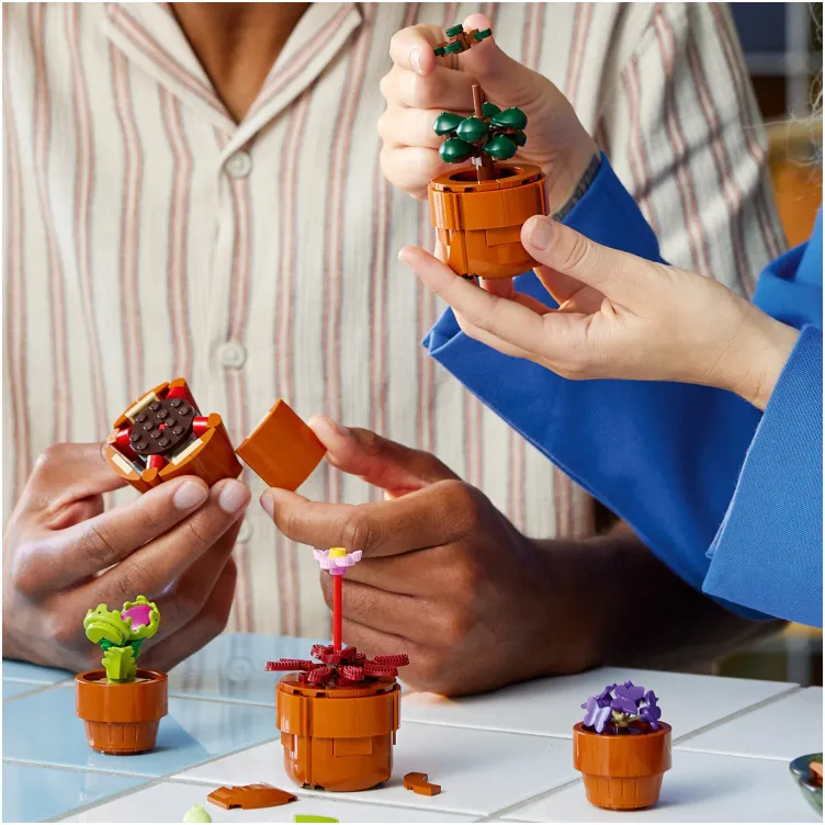 10329 Sićušne biljke