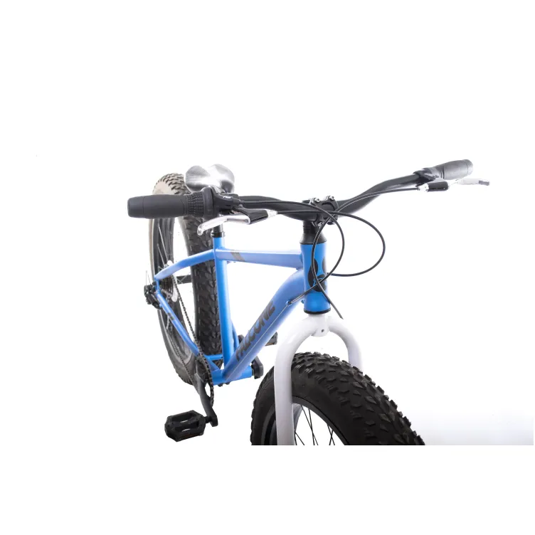 FAT FALCONE 26" (16)