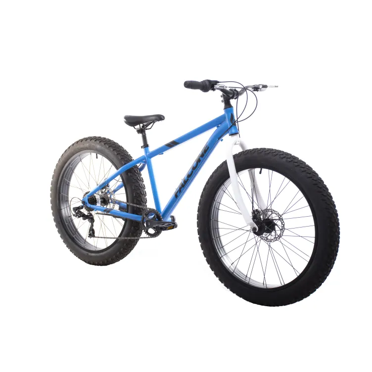 FAT FALCONE 26" (16)