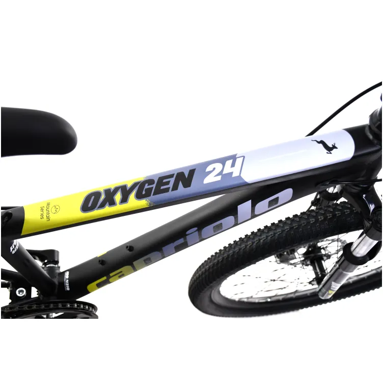 Oxygen 24 DISC crno-žuto (12)