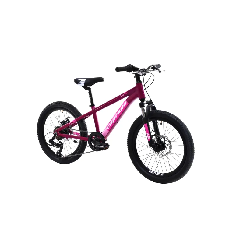 LC 200 ljubičasto (11)