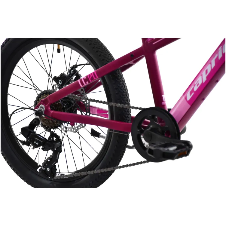 LC 200 ljubičasto (11)