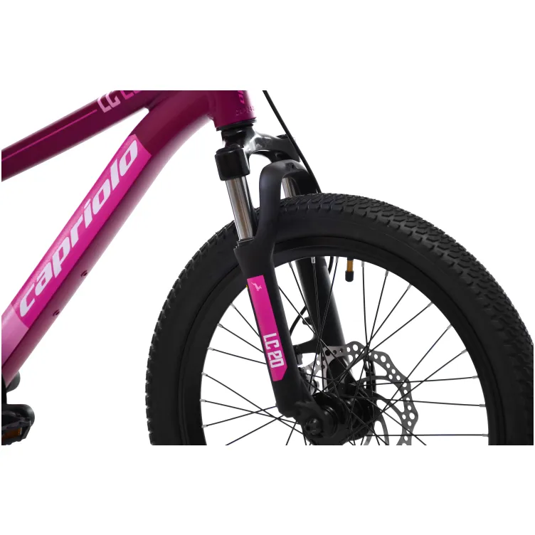 LC 200 ljubičasto (11)