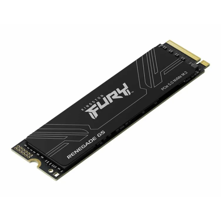 1TB M.2 NVMe SFYR2S/1T0 SSD FURY Renegade G5 SSD