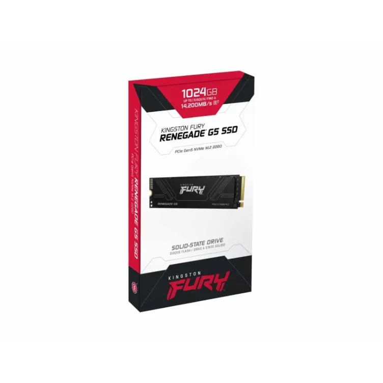 1TB M.2 NVMe SFYR2S/1T0 SSD FURY Renegade G5 SSD