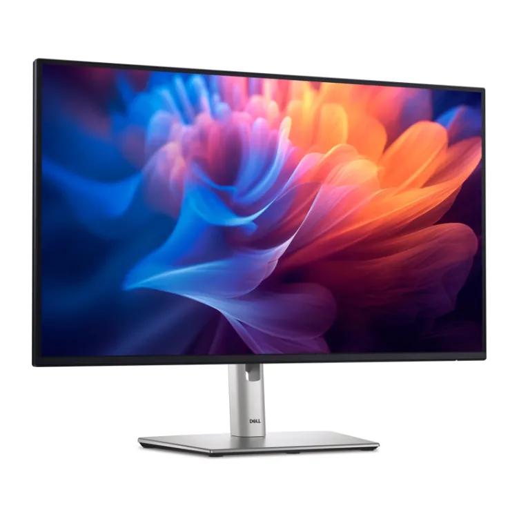 27 inch P2725H 100Hz Professional IPS monitor