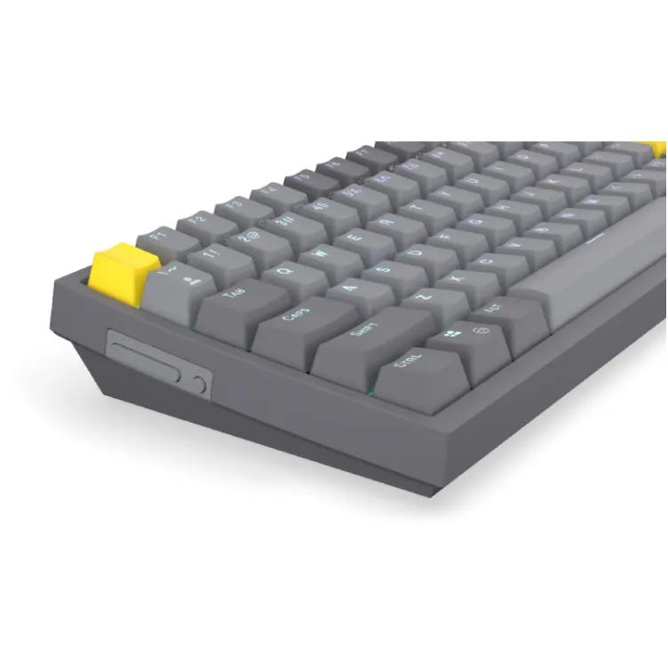 Celeris tastatura (EY5A124)