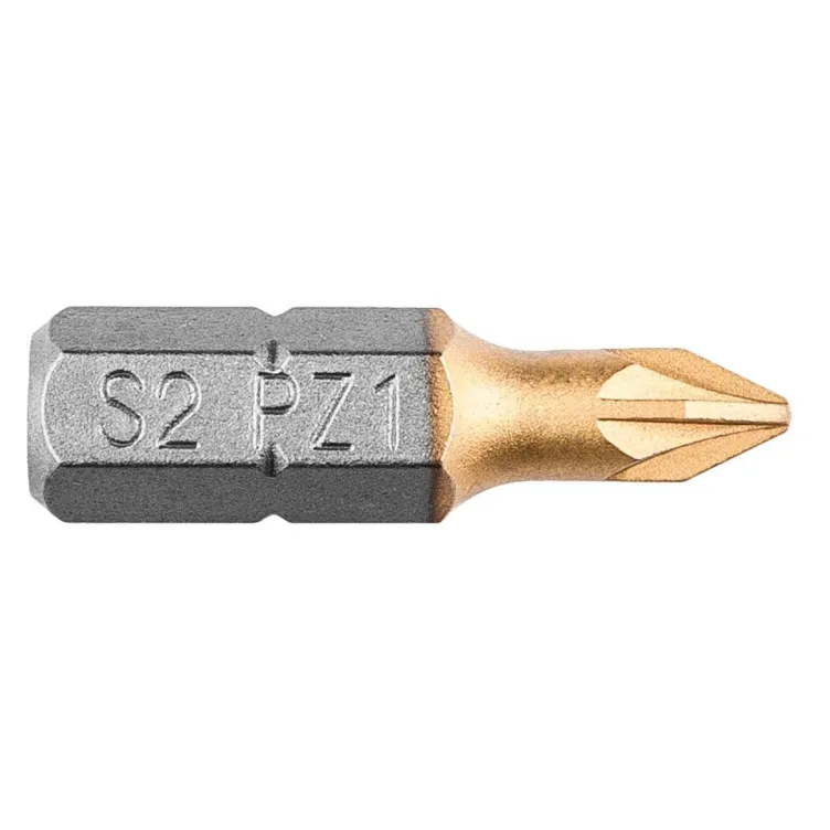Bic Torx - GRAPHITE