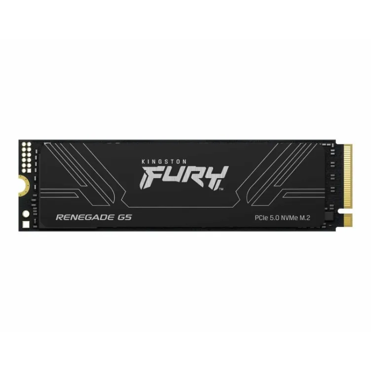 1TB M.2 NVMe SFYR2S/1T0 SSD FURY Renegade G5 SSD