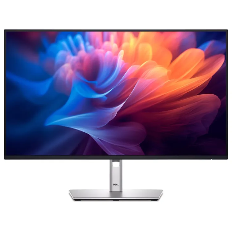 27 inch P2725HE 100Hz USB-C Professional IPS monitor