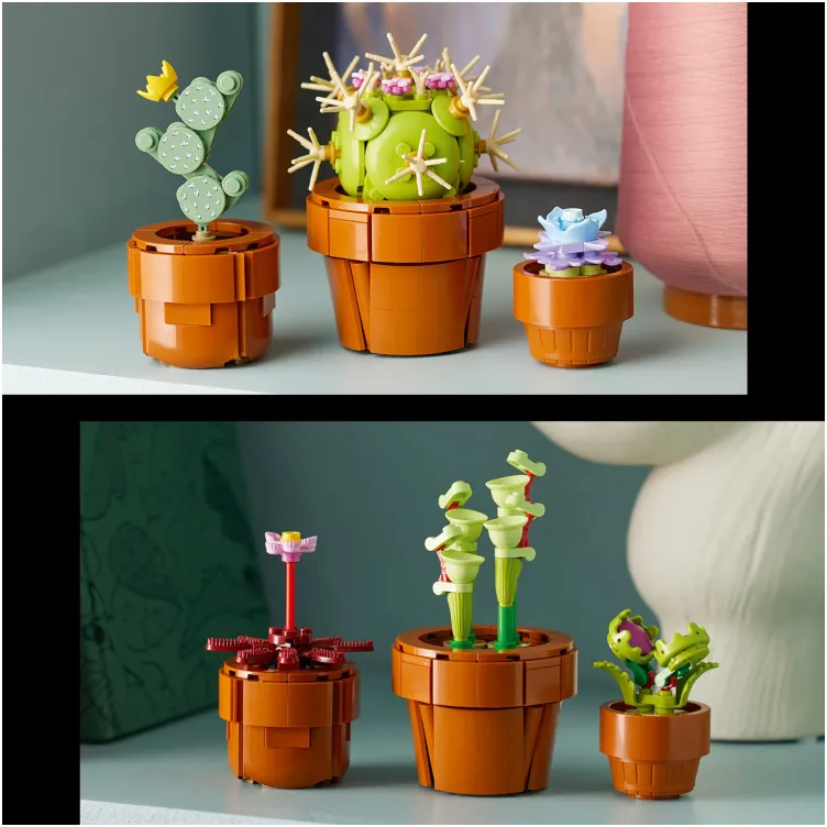 10329 Sićušne biljke