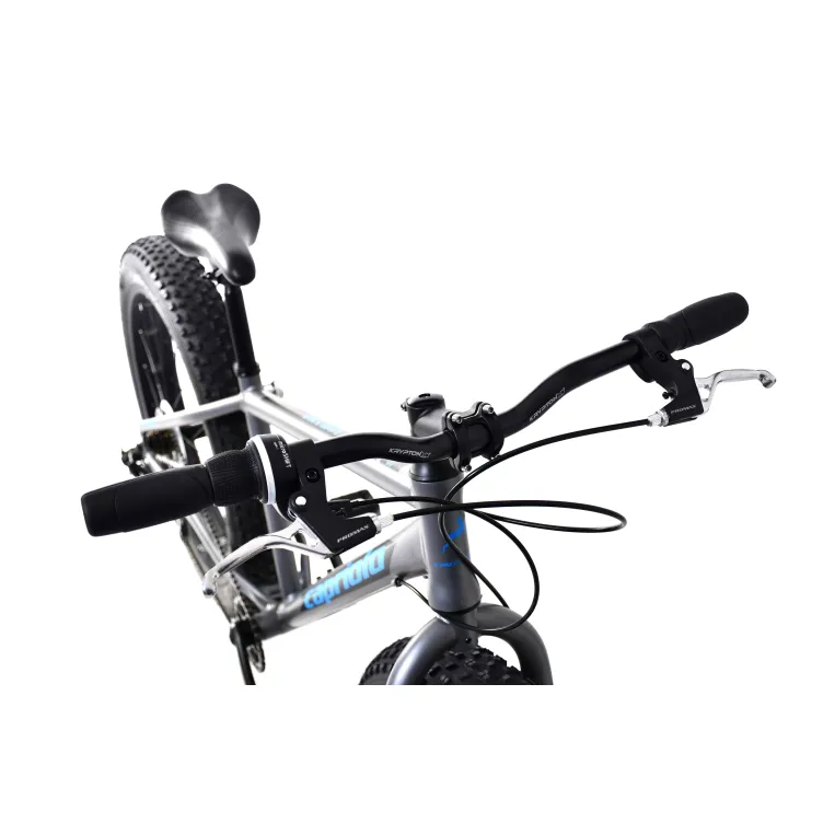 FAT BOY 26 alloy sivo-plavo (16)