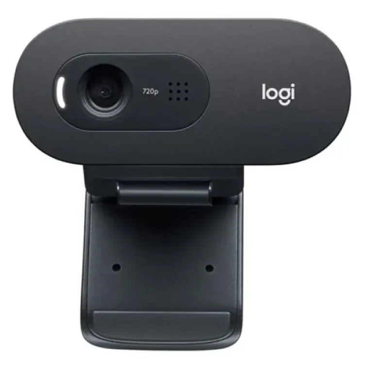 Web camera Logitech C505e 960-001372