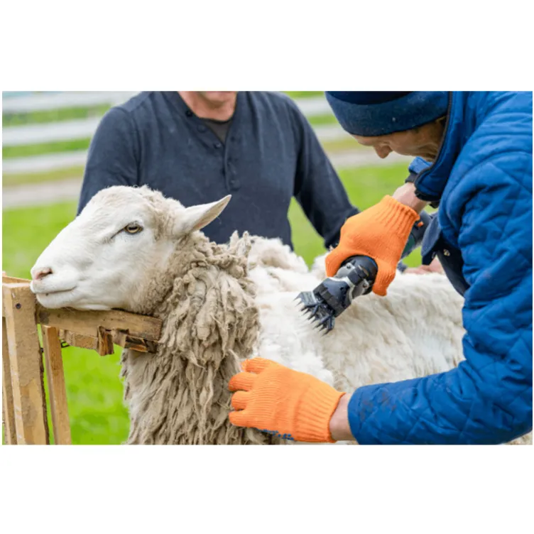 Mašina za šišanje životinja 350W - BORMANN BHC3000