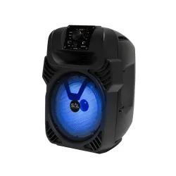 Prenosna zvučna kutija sa BT konekcijom 25W 