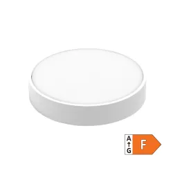 LED spoljna svetiljka 24W CL300-CP07-CW