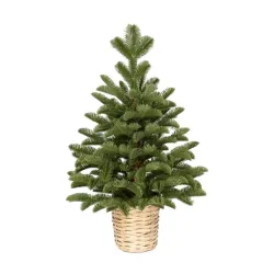 Novogodisnja jelka u saksiji zelena 90cm 250311