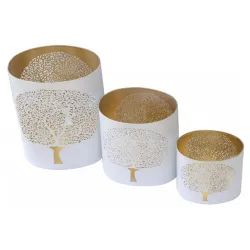 Svećnjak krošnja L