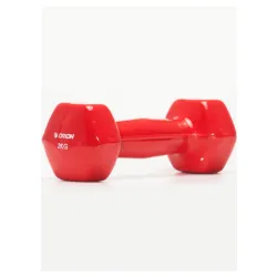 ORION Vinyl Bućica 2 kg  1 komad