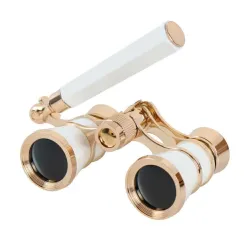 Pozorišni Dvogled "Aida"