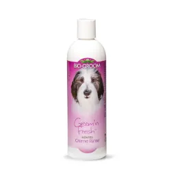 BG Regenerator GROOM ´N FRESH CREME 355 ml