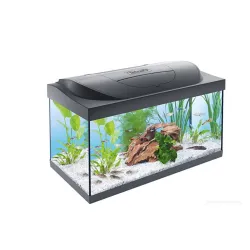 Tetra akvarijum Start Line LED Tank 54 l Tetra akvarijum Start Line LED Tank 54 l