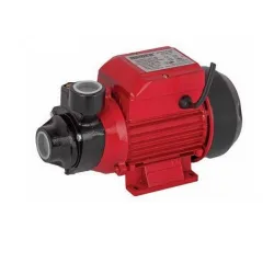 Centrifugalna pumpa Raider RD-WP60